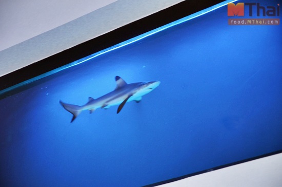 Reef Sushi Bar & Grill