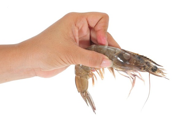 TipsPelling-cooked-prawn