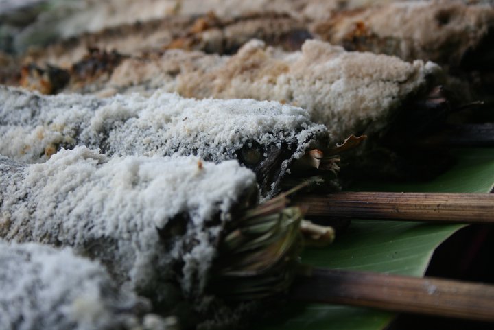 230834_147201012014936_1360971_n