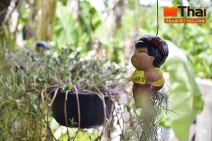 ก๋วยเตี่ยว - ต้นไม้ในร้าน - พล ก๋วยเตียวโบราณ