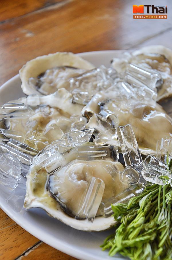 หอยนางรม - พล ก๋วยเตี๋ยวโบราณ