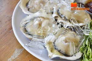 หอยนางรม - นนทบุรี