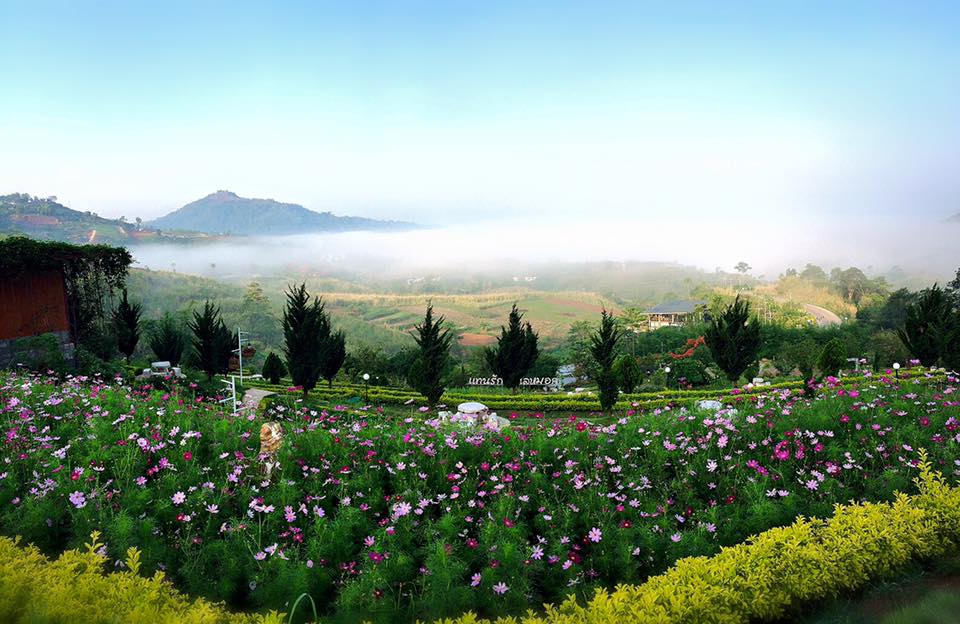 13232921_1137536086297726_3399504563289352773_n