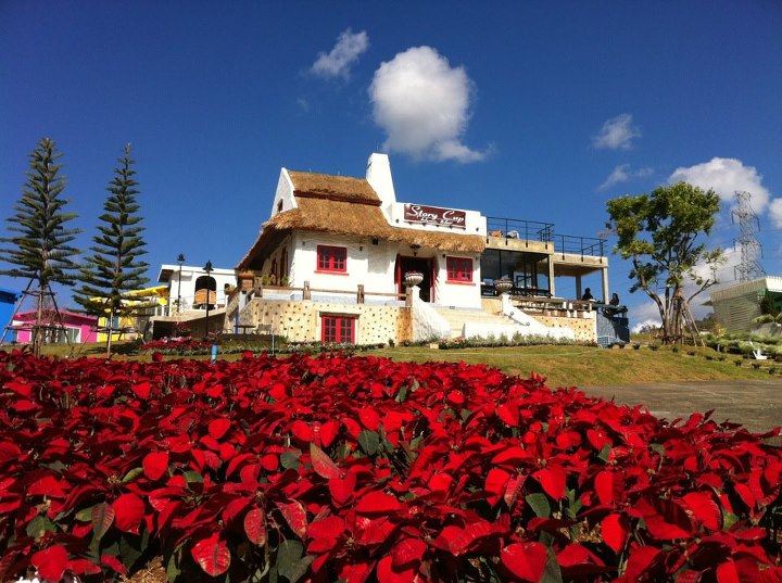 423872_479183398768268_1338717801_n