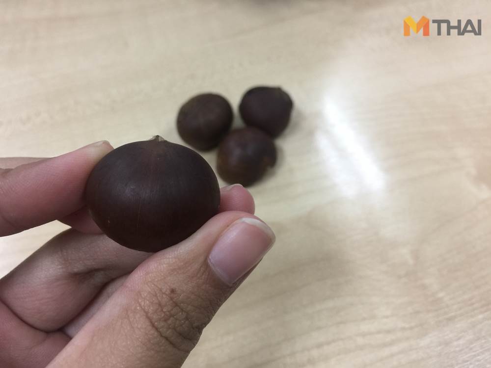 chestnuts001