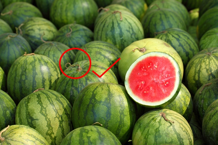 watermelon slice.Many big sweet green watermelons and one cut watermelon.