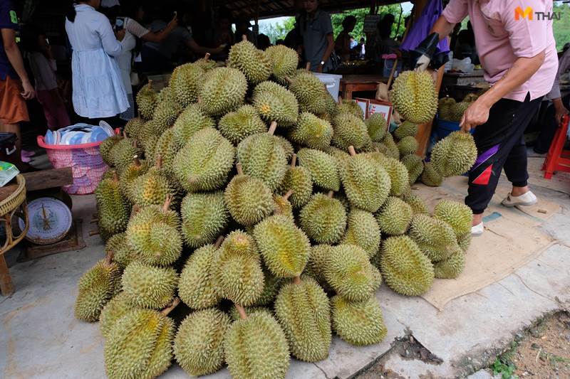 Durian Buffet