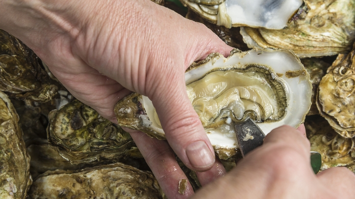 Oyster ซีฟู้ด หอยนางรม อาหารทะเล เคล็ดลับอาหาร เทคนิคการแกะฝาหอยนางรม เทคนิคอาหาร