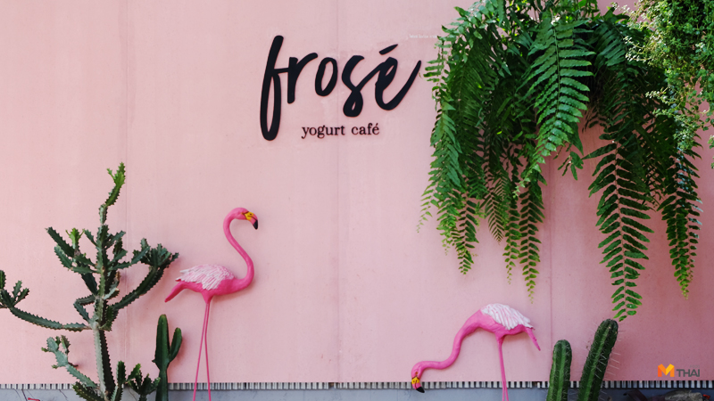 Frosé Yogurt Café Frozen Yogurt คาเฟ่ คาเฟ่เชียงใหม่ ร้านกาแฟเชียงใหม่ เชียงใหม่ โฟร่เซ่ โยเกิร์ต โยเกิร์ต